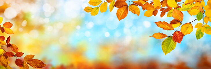 Colorful autumn background in panoramic format, with red, yellow and green leaves framing blue bokeh highlights