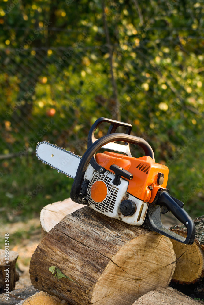 Naklejka premium Chainsaw that stands on a heap of firewood in the yard on a beautiful background of green grass and forest.