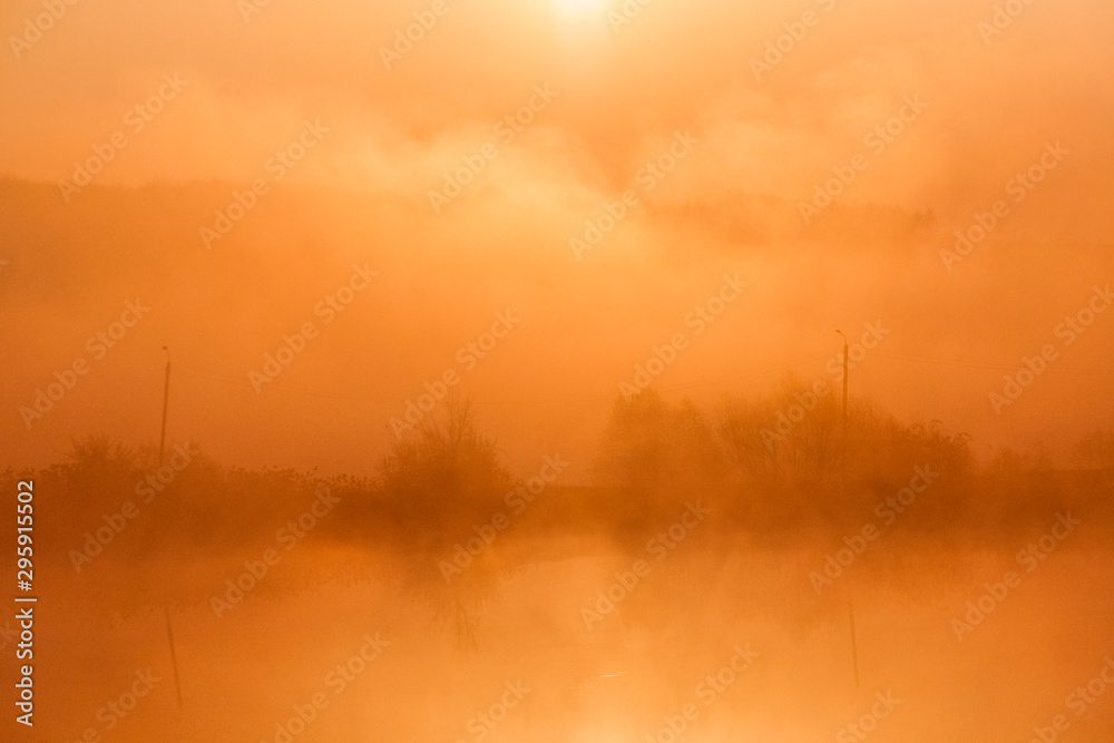 Sunrise over foggy lake. Canes on foreground on the lake coast. Sun is rising up over the trees on the further river bank. Sunrise over foggy lake. Canes on foreground on the lake coast. Sun is rising up over the trees on the further river bank.