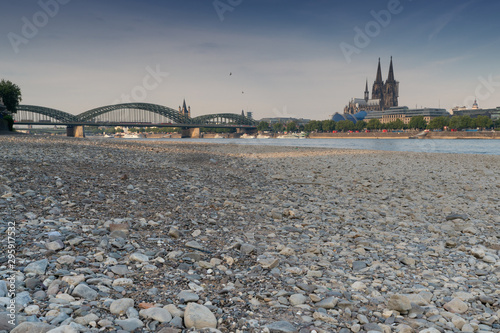 COLOGNE, GERMANY - JULY 20, 2018: Prolonged drought in Germany, low water of the Rhine river in Cologne at early morning time on July 20, 2018 in Germany