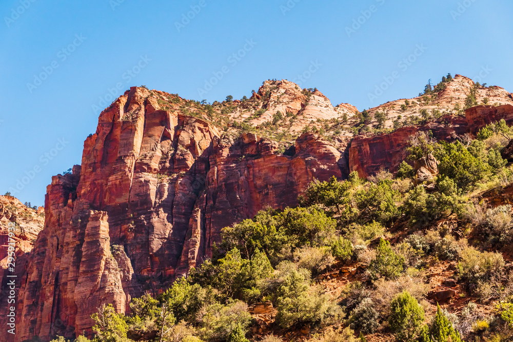 Amazing Zion Canyon in Utah USA