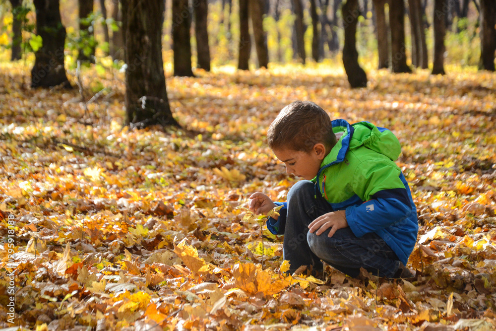 little boy in autumn park little boy in autumn park
