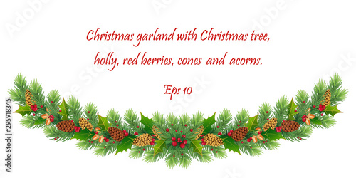 Christmas holiday design. Realistic fir-tree branches, pine, cones, red berries, holly, acorns and mistletoe. Eps 10