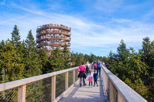 Forest canopy tower and walkway, footpath above treetops photo