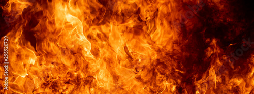 Fotografia Close up hot fire flame burning glowing on black dark background