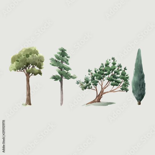 Watercolor vector tree forest oak fir birch, thuja linden baobab pine isolated illustrations