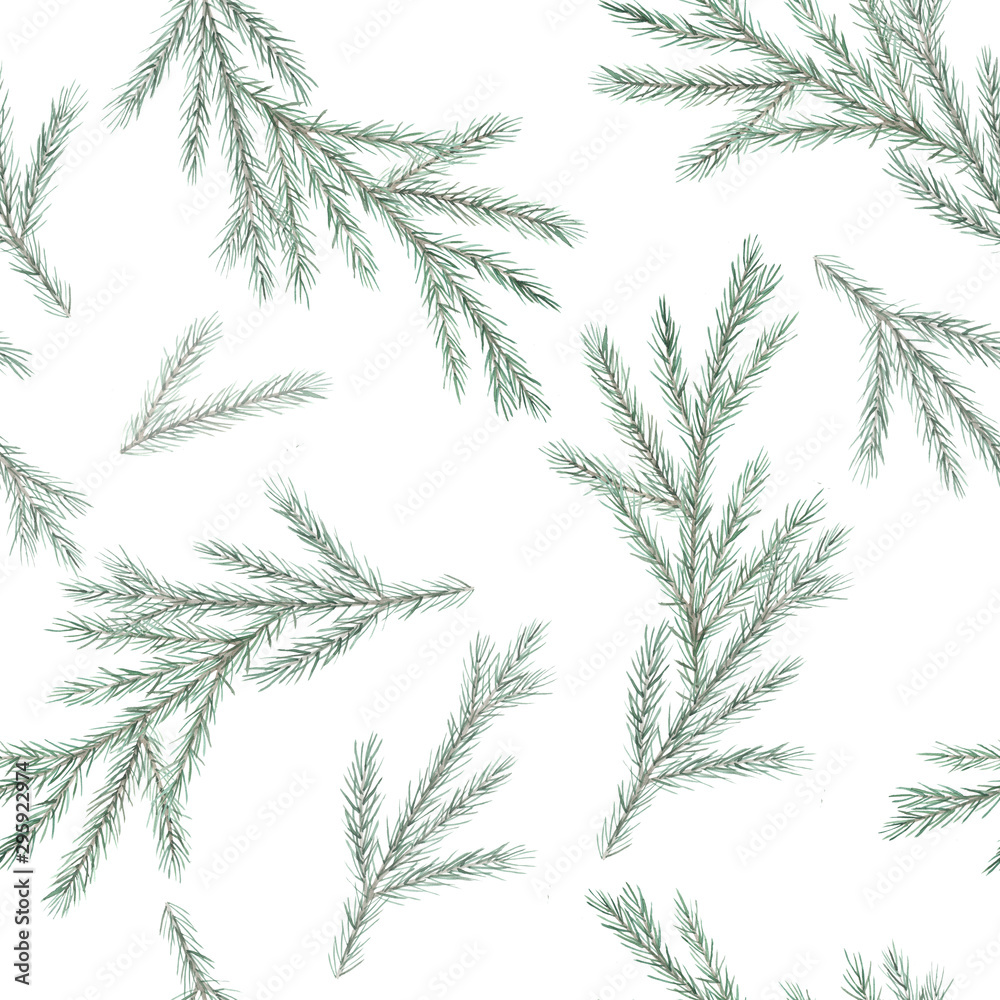 Christmas watercolor pattern with green spruce tree branches. Winter nature seamless print. Hand drawn illustration on white background