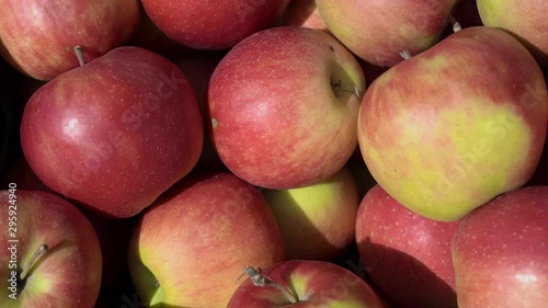 red green apples background on the market counter