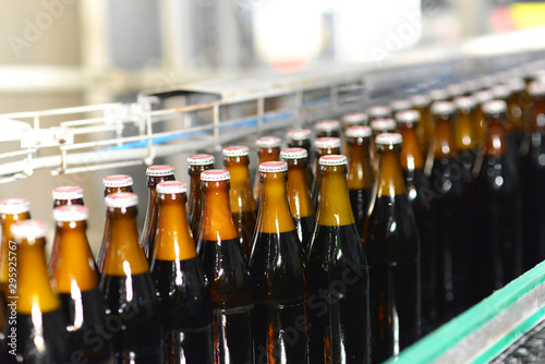 Abf  llen von Bier in Glasflaschen am Fliessband in einer modernen Brauerei    Filling of beer in glass bottles on a conveyor belt in a modern brewery 