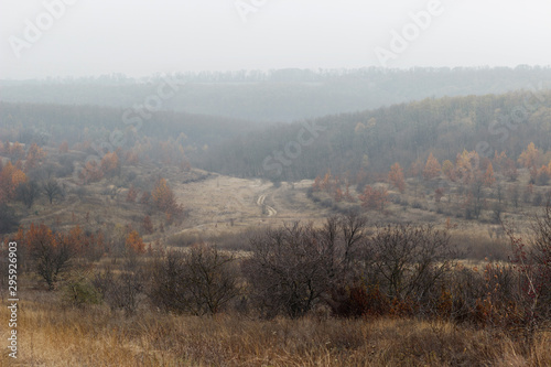 steppe from above, steppe and forest beam in the fog, autumn
