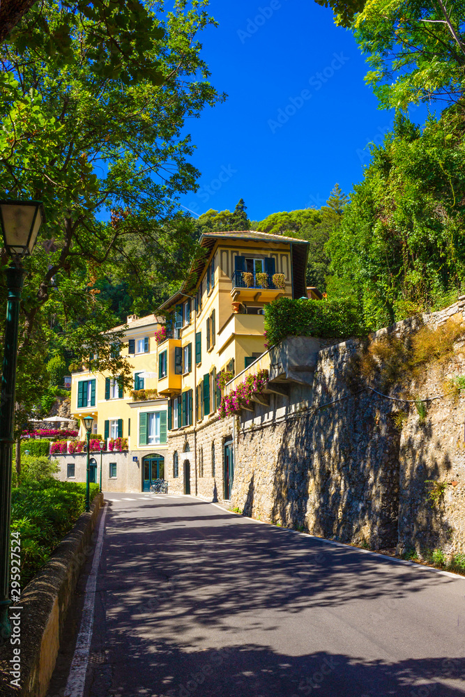 Beautiful traditional street with flowers of the Portofino, Liguria, Italy
