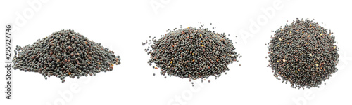Set of rapeseed seeds isolated on a white background. Seeds of mustard plants. A set of canola seeds photographed from a different angle. Canola seeds isolated on white.