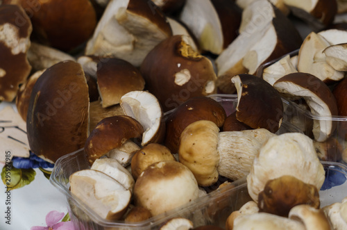 Mushrooms with brown hats and white legs in crates in the market.Boletus.