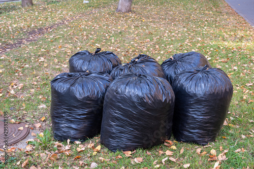 Six plastic black bags filled with autumn leaves.The concept of ecology clean
