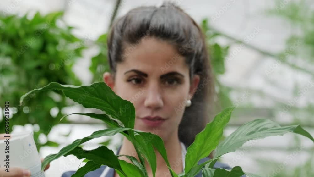 Busy young woman working as florist in flower shop. Happy employee at work with spray can. Girl spraying plants and flowers in floral store. Slow motion, close-up of face Busy young woman working as florist in flower shop. Happy employee at work with spray can. Girl spraying plants and flowers in floral store. Slow motion, close-up of face