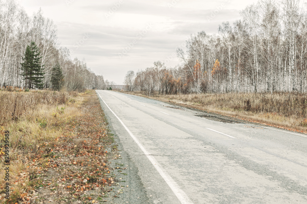 Empty abandoned road on a background of autumn forest. Mystical Gray Skies