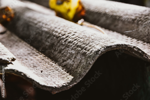 dry leaves on the roof schist  