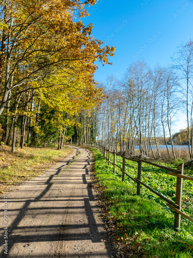 landscape with country roads, wooden fence along the edge and colorful trees, autumn
