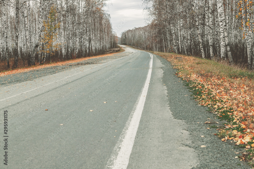 Fototapeta premium Empty abandoned road on a background of autumn forest. Mystical Gray Skies