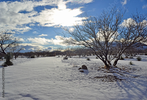 Snow under a desert sun