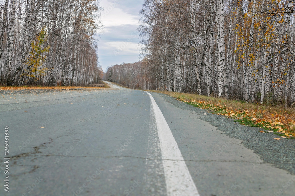 Fototapeta premium Empty abandoned road on a background of autumn forest. Mystical Gray Skies