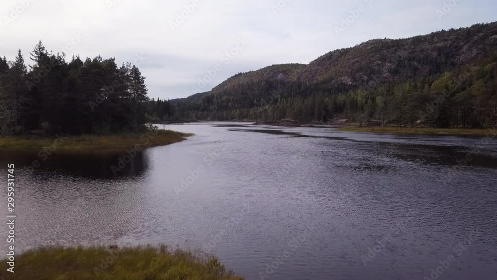Aerial of Tovdalselva river bank surrounded by woodland. DOLLY IN Aerial of Tovdalselva river bank surrounded by woodland. DOLLY IN