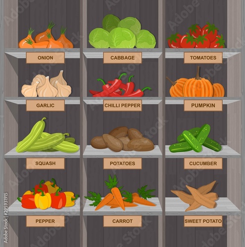 Shopping stands with vegetables. Supermarket shelves with onion and cabbage, potato and tomato. Vector illustration.