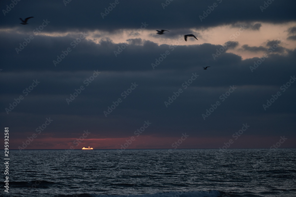 Gaviotas volando sobre el océano Atlántico, en la puesta de sol, en la playa de El Palmar, perteneciente a Vejer de la Frontera, en la provincia de Cádiz. Andalucía. España