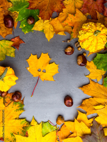 Festive autumn decor from pumpkins, maple leaves, chesnuts Thanksgiving day or Halloween concept. Flat lay autumn composition