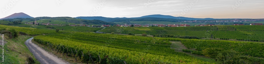 Blienschwiller, France - 09 15 2019: Panoramic view of the vineyards and the village at sunset.