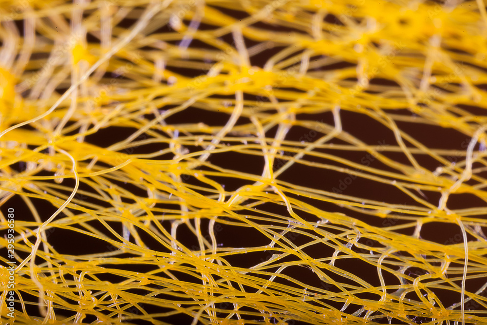 orange orange pattern abstract background in close-up orange orange pattern abstract background in close-up
