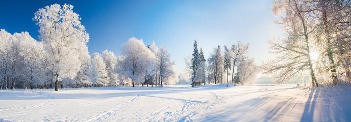 Panorama of beautiful winter park
