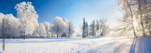 Panel kuchenny z motywem Panorama of beautiful winter park