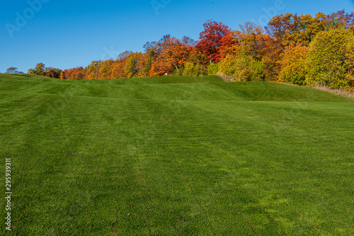 autumn on golf course