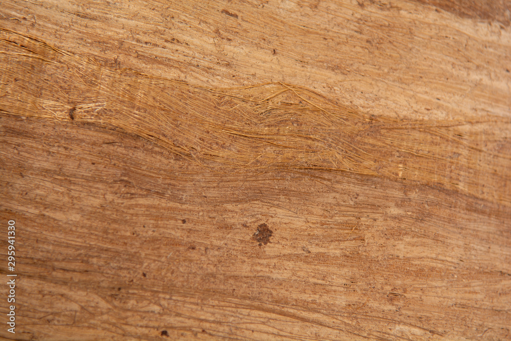 Naklejka premium Papyrus