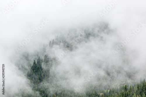 Foggy summer moring over forest slopes © Dragomir
