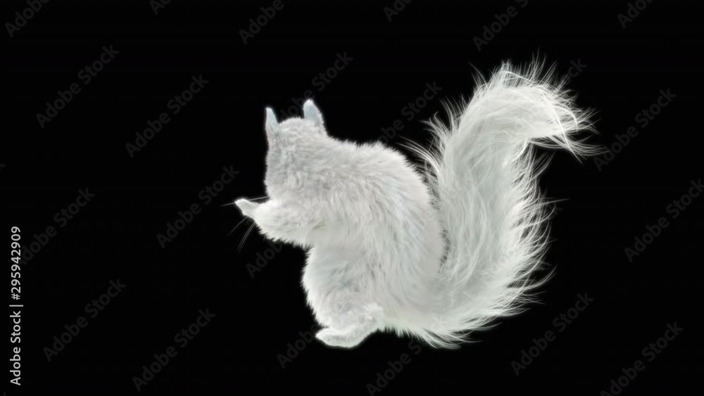 Squirrel, dance, 3d, rendering, animal, realistic, Animation, Loop
