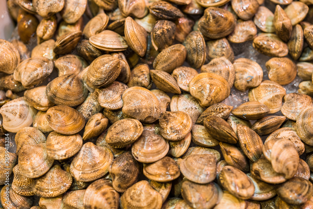 Close up food photo of fresh organic shellfish at the farmers market stall Close up food photo of fresh organic shellfish at the farmers market stall