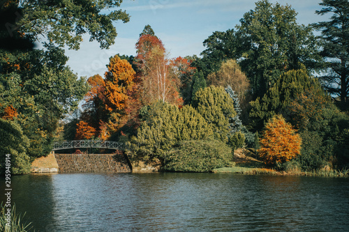 Autum Lake and Trees 