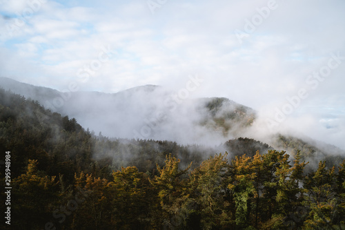 Fog rolling through the forest of Basque Country during autumn
