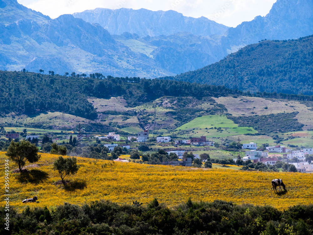 Obraz premium Paisaje