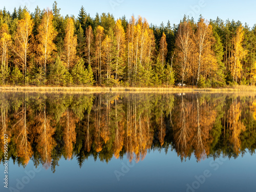 beautiful and bright trees on the lake clay, autumn landscape