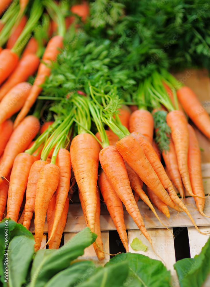 Carrots and salad on farmer agricultural market Carrots and salad on farmer agricultural market