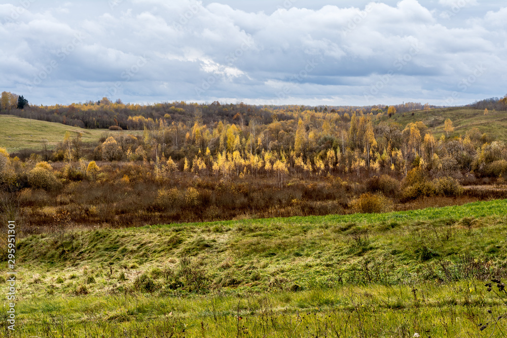 Green field and trees with yellow and orange foliage. European autumn landscape with cloudy blue sky