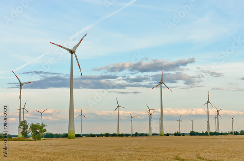 Wallpaper Mural Wind turbines in the field Torontodigital.ca
