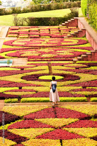 botanical garden of Funchal in Madeira Island