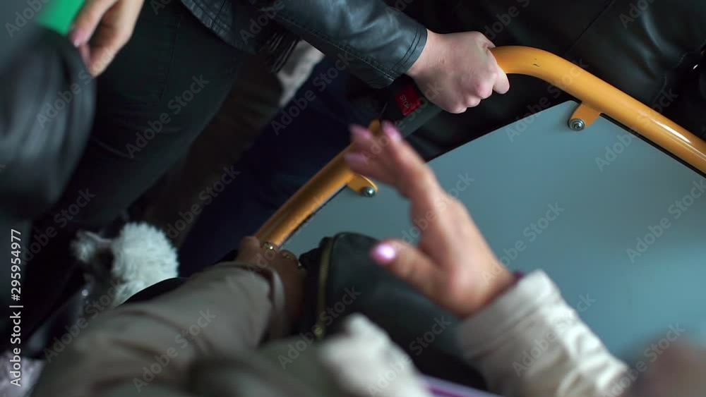 The passenger holds the handrail in the bus. Nearby is a white dog. The passenger holds the handrail in the bus. Nearby is a white dog.
