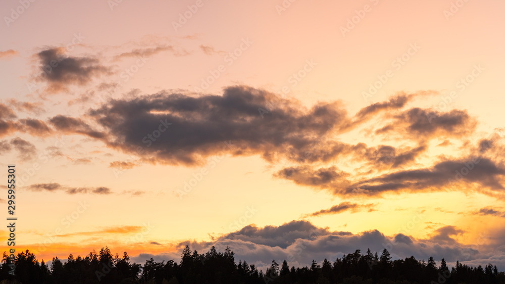 Sunset over forest with pastel colors sky and colorful clouds