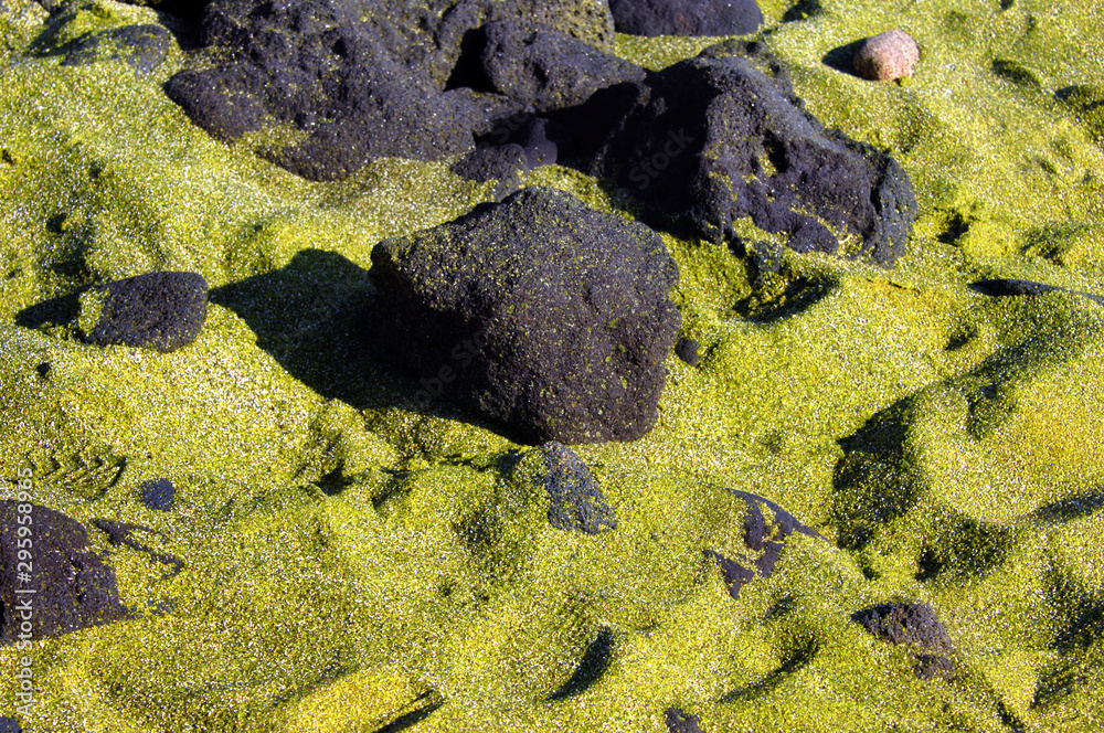 Fotografie Big Island Green Sand