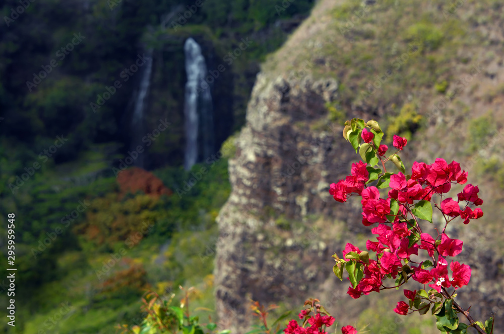 Bougainvillia and Opaeka Falls